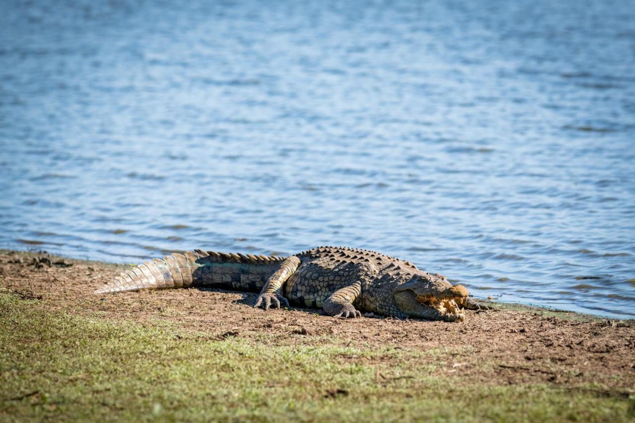 Nkuhlu Tented Camp Skukuza Buitenkant foto