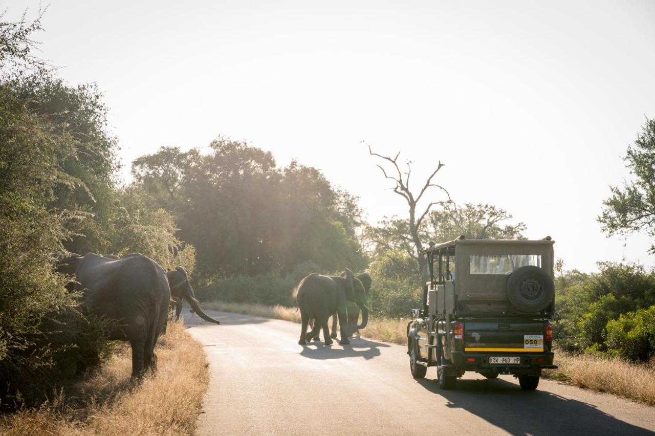 Nkuhlu Tented Camp Skukuza Buitenkant foto