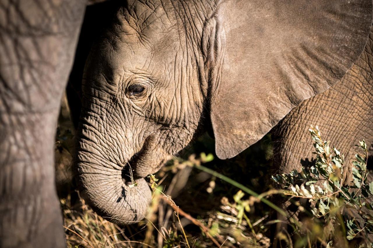 Nkuhlu Tented Camp Skukuza Buitenkant foto