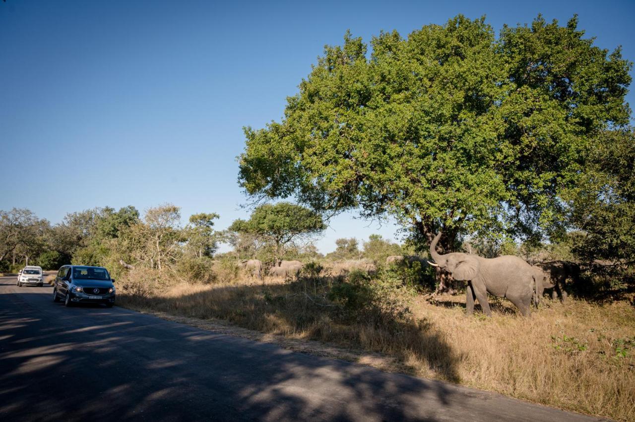 Nkuhlu Tented Camp Skukuza Buitenkant foto