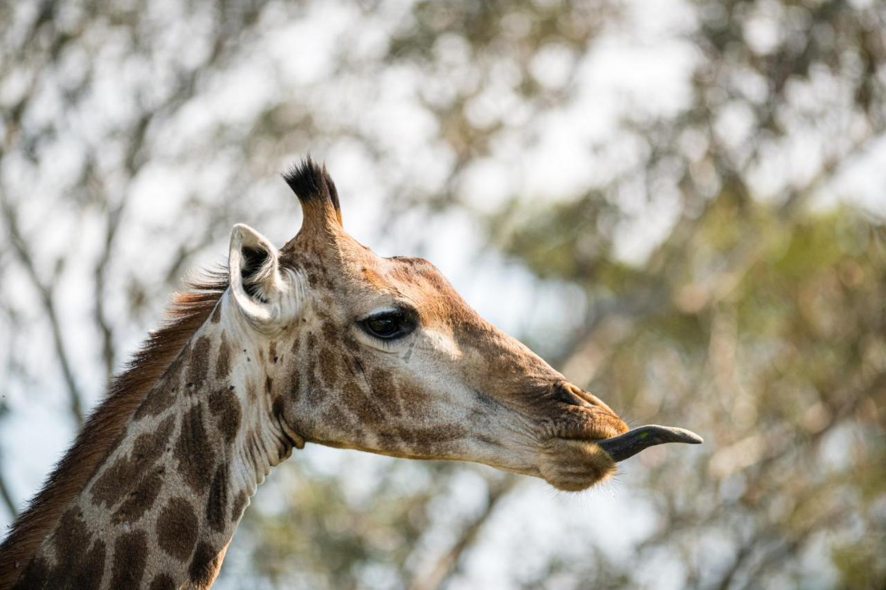 Nkuhlu Tented Camp Skukuza Buitenkant foto