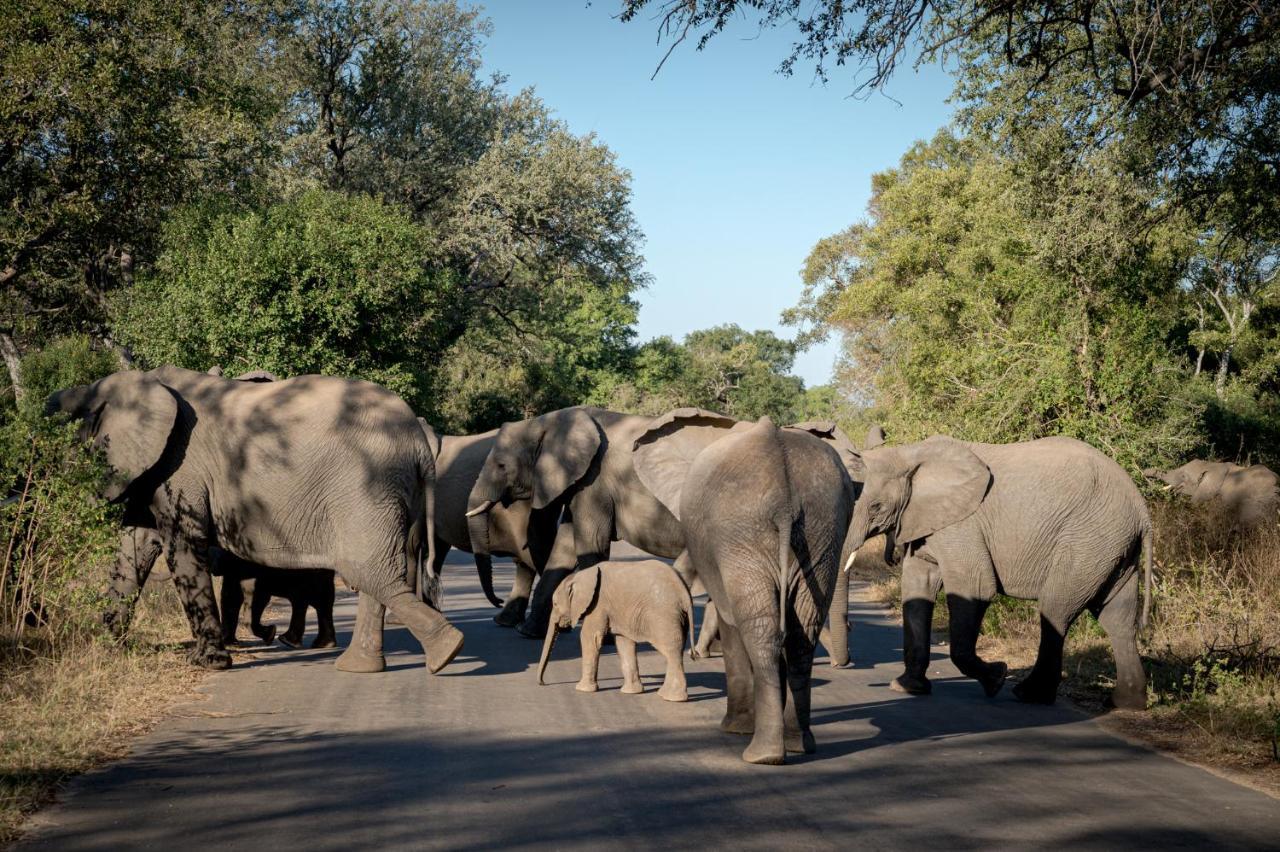 Nkuhlu Tented Camp Skukuza Buitenkant foto