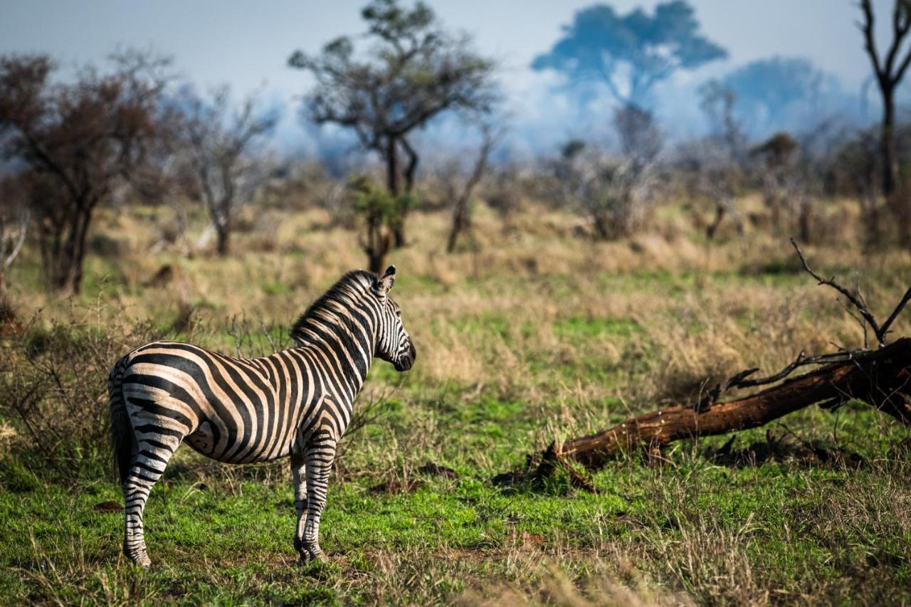 Nkuhlu Tented Camp Skukuza Buitenkant foto