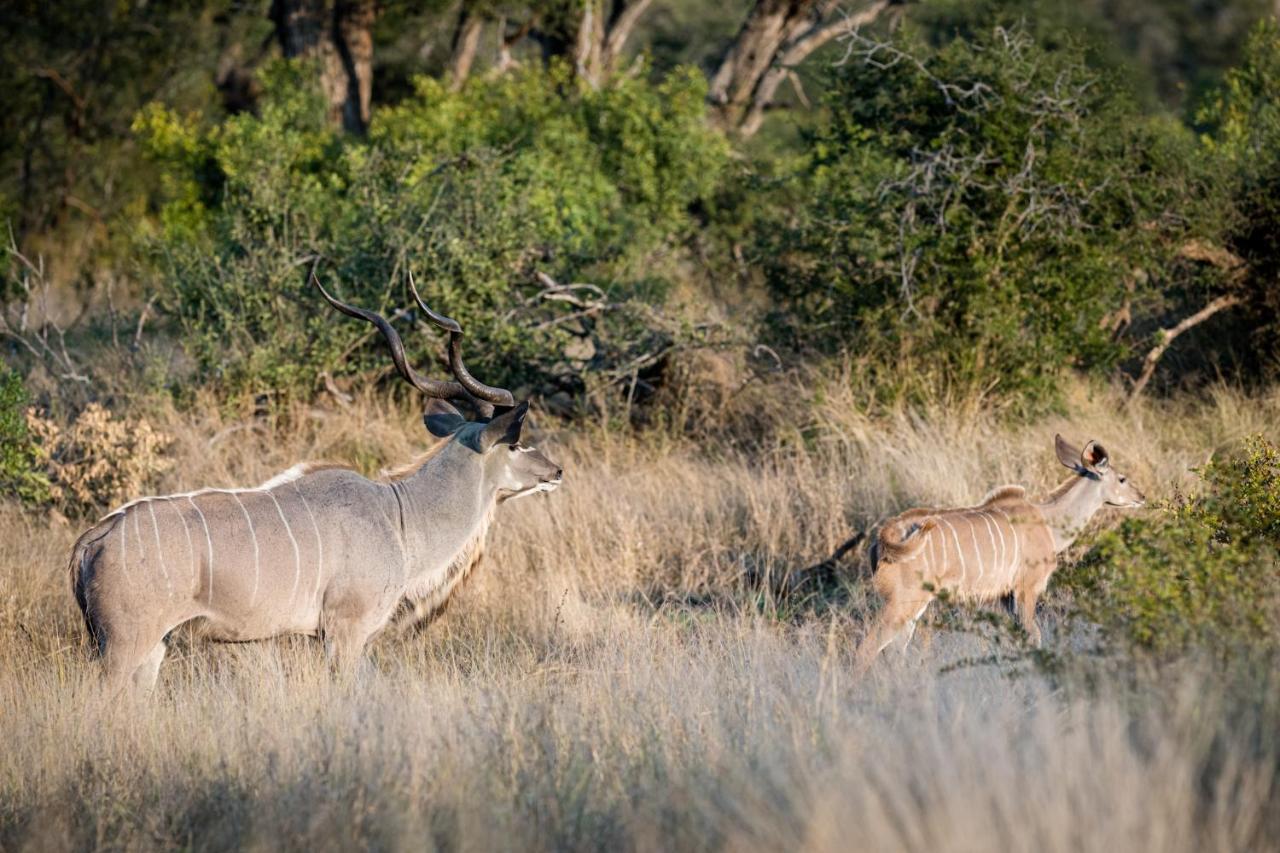 Nkuhlu Tented Camp Skukuza Buitenkant foto