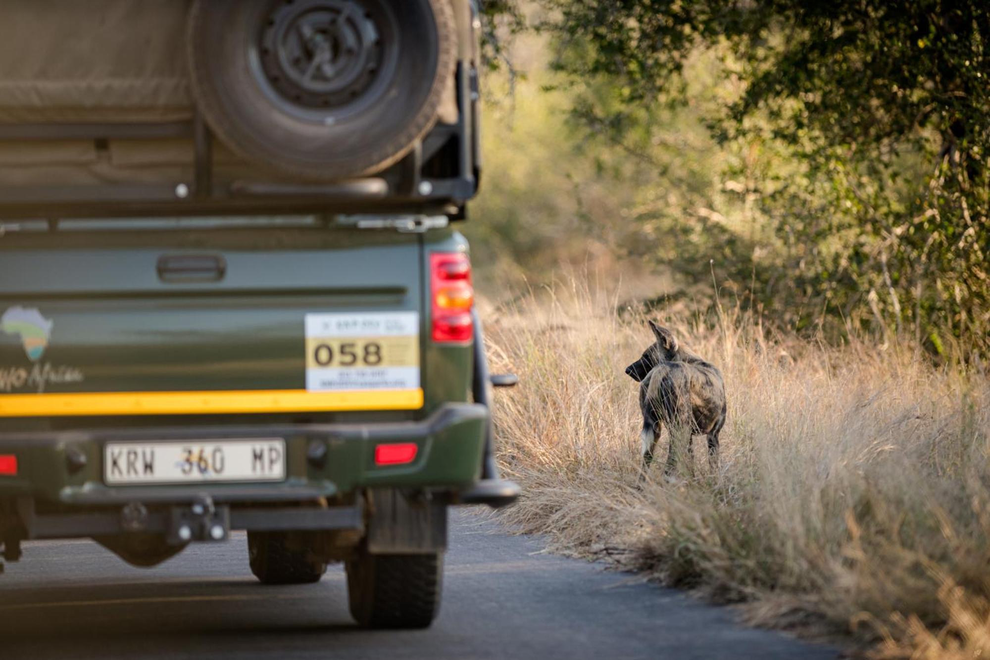Nkuhlu Tented Camp Skukuza Buitenkant foto